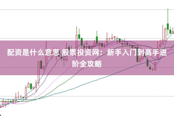 配资是什么意思 股票投资网：新手入门到高手进阶全攻略
