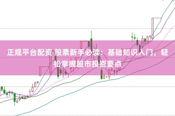 正规平台配资 股票新手必读：基础知识入门，轻松掌握股市投资要点