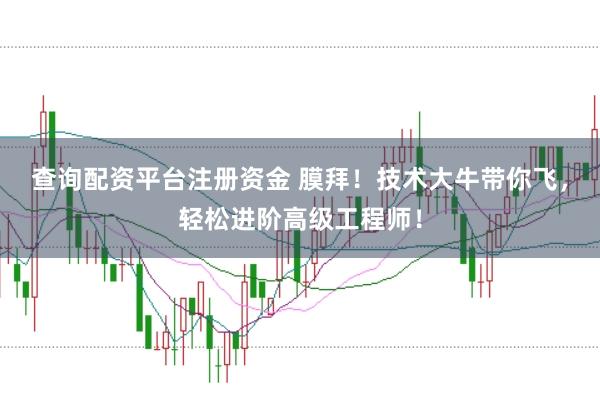 查询配资平台注册资金 膜拜！技术大牛带你飞，轻松进阶高级工程师！