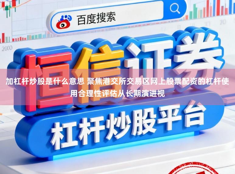 加杠杆炒股是什么意思 聚焦港交所交易区网上股票配资的杠杆使用合理性评估从长期演进视